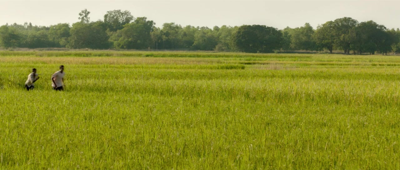 Jungle Cry screenshot 3