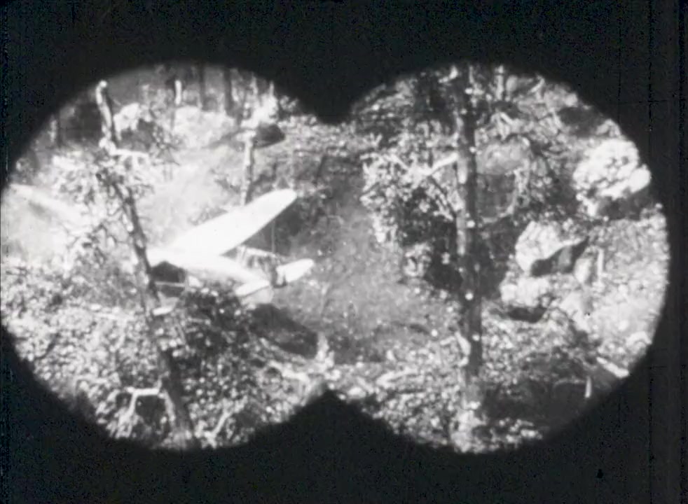 Jungle Goddess screenshot 2