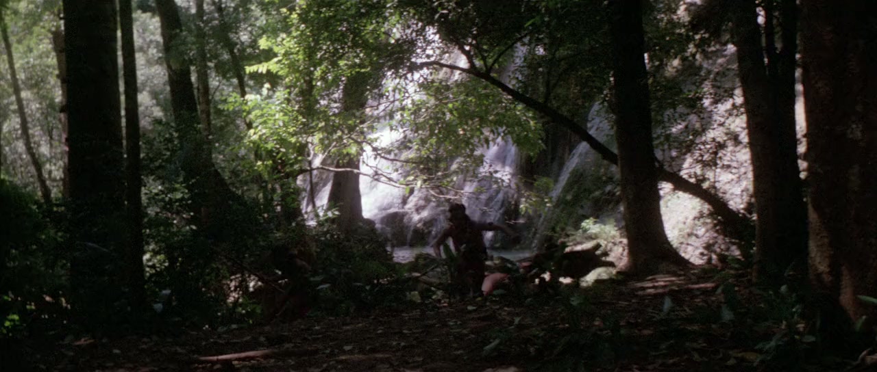 Jungle Raiders screenshot 1