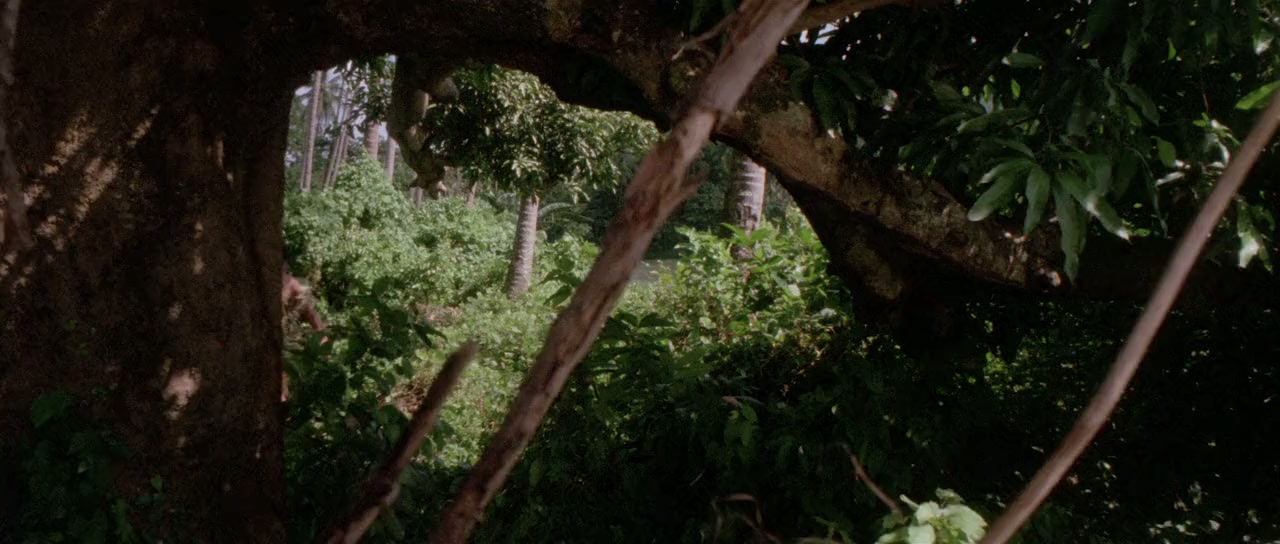 Jungle Raiders screenshot 2