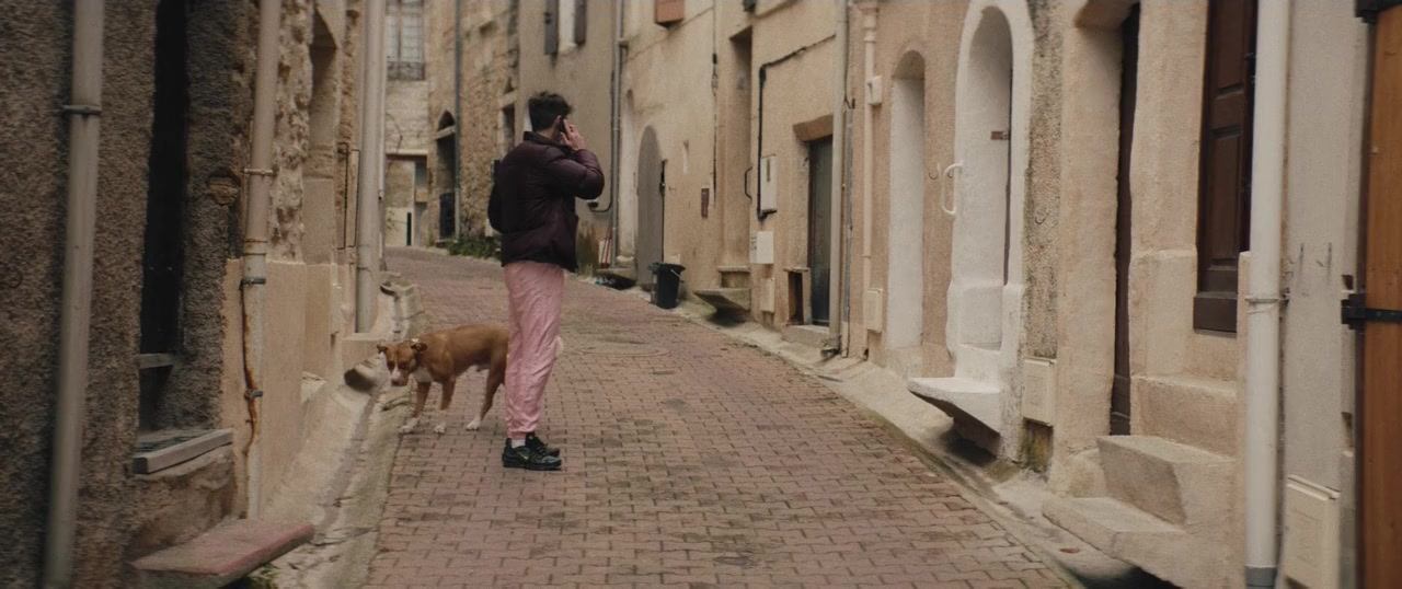 Chien de la casse screenshot 1
