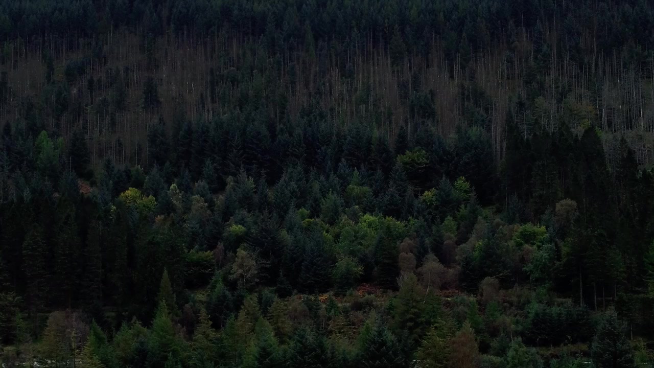 Jurassic Triangle screenshot 2