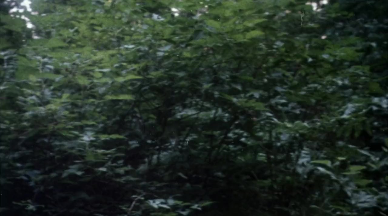 Just Before Dawn screenshot 2