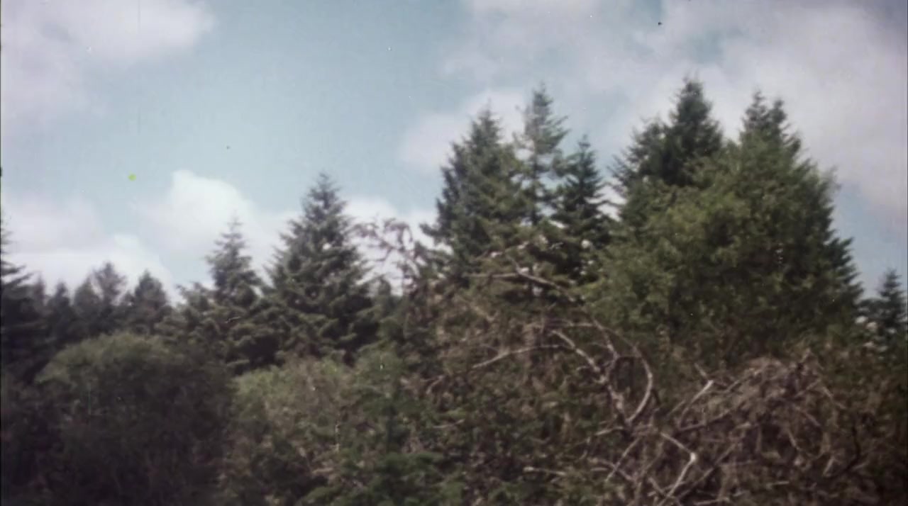 Just Before Dawn screenshot 3
