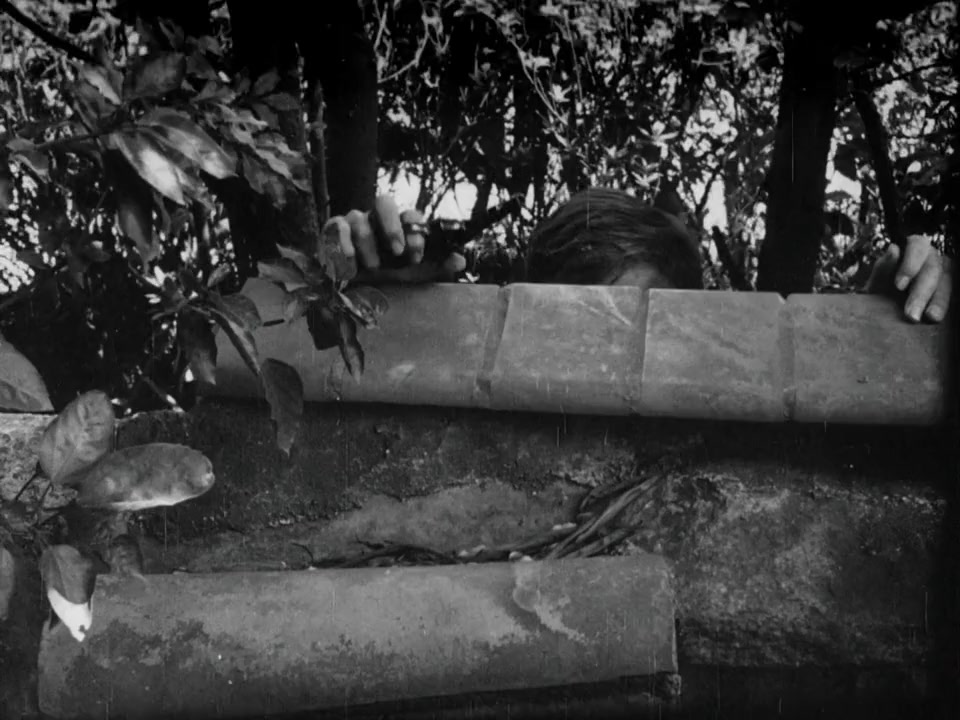 O Bandido da Luz Vermelha screenshot 1