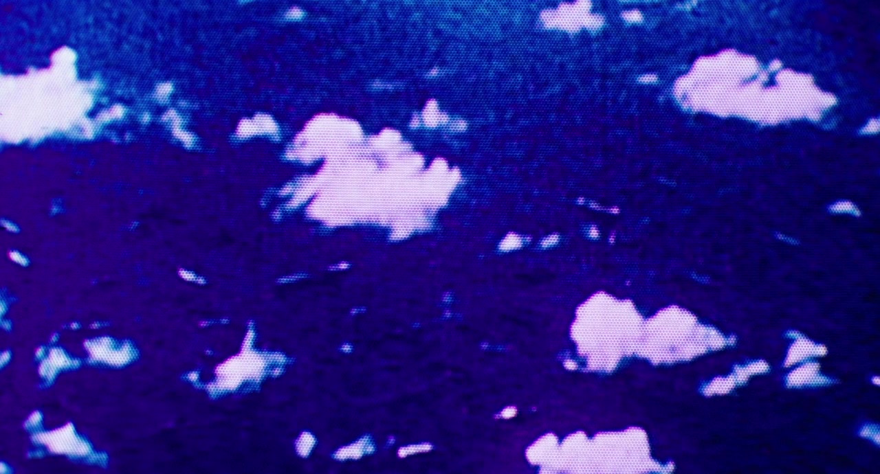 O-bi, o-ba. Koniec cywilizacji screenshot 1