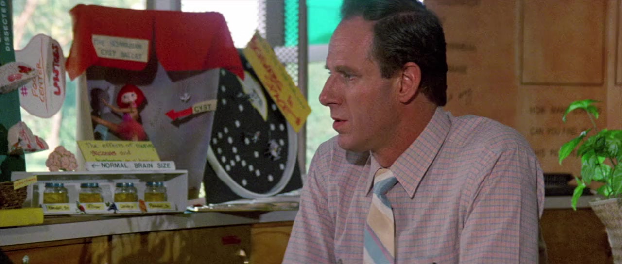 O.C. and Stiggs screenshot 1
