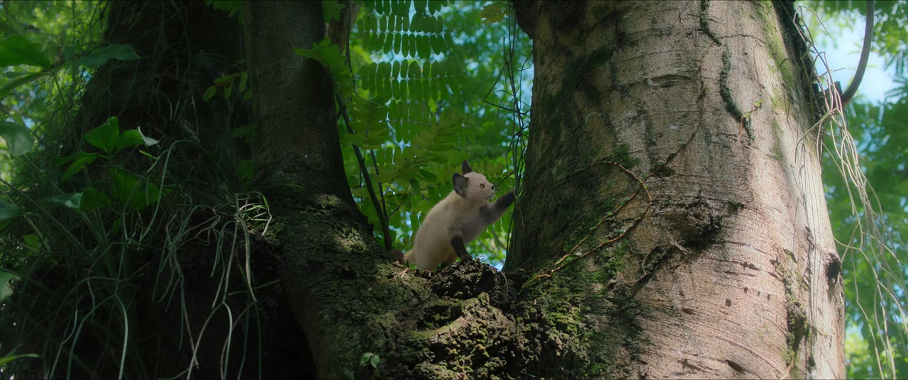 O Diário de Pilar na Amazônia screenshot 1