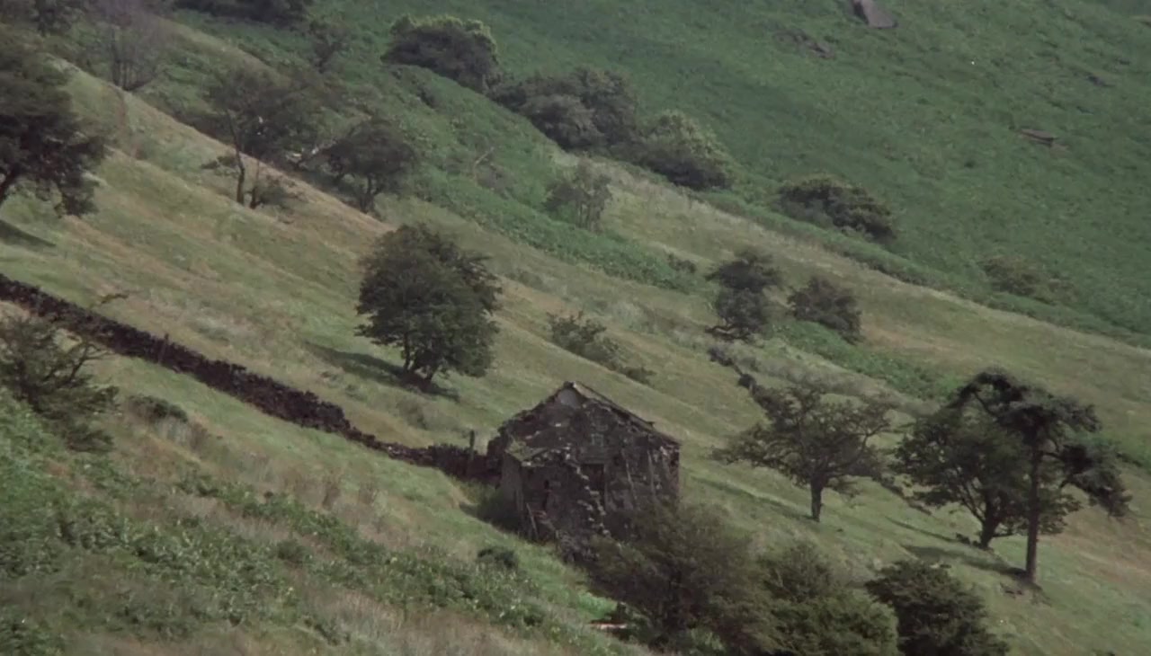 O Lucky Man! screenshot 1