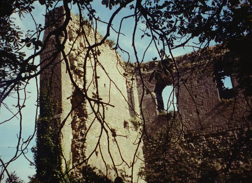 Ô saisons ô chateaux screenshot 2
