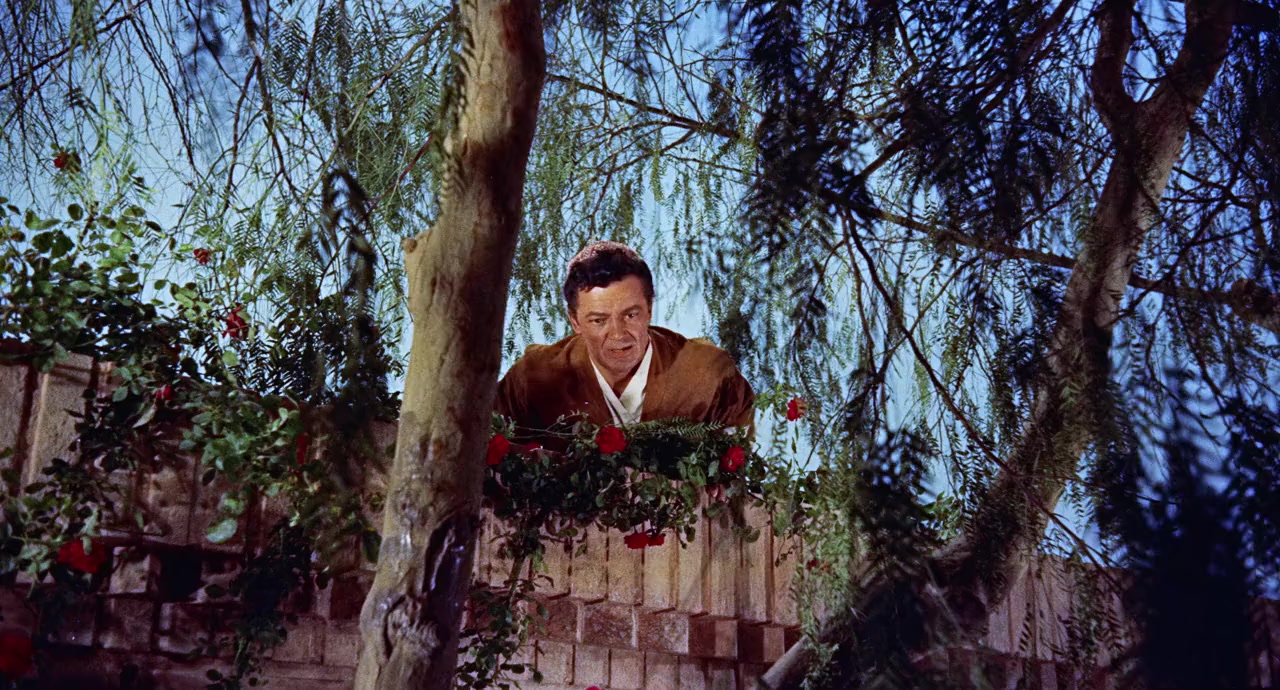 Omar Khayyam screenshot 1