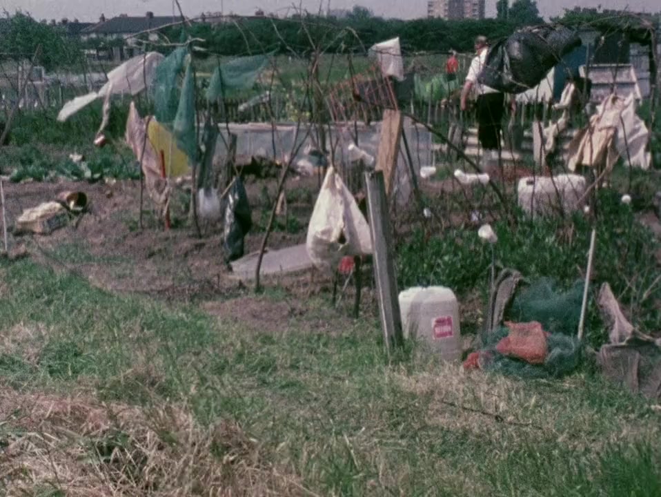 On Allotments screenshot 1