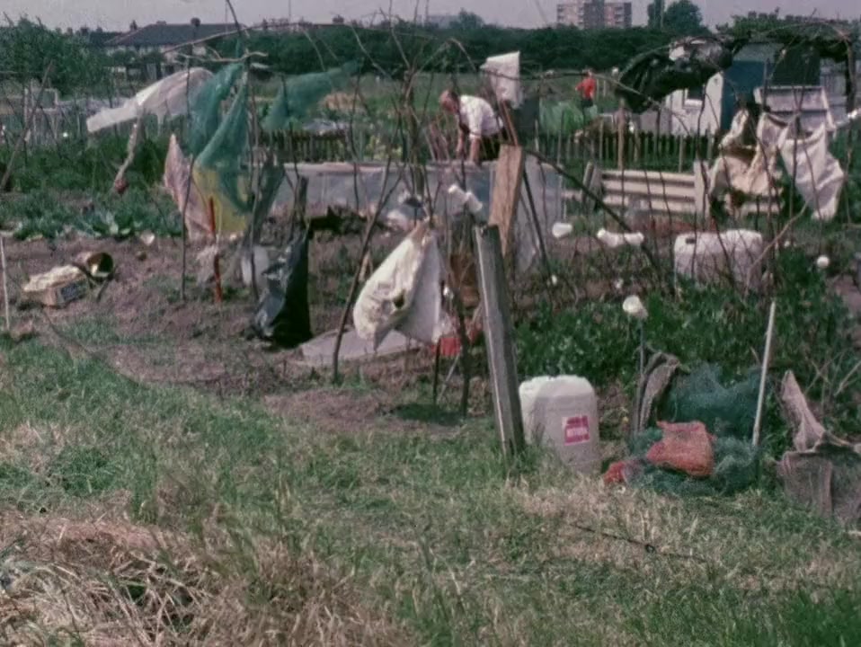 On Allotments screenshot 2