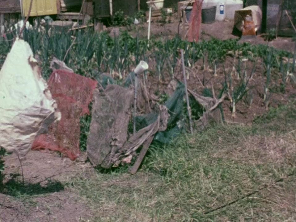 On Allotments screenshot 3