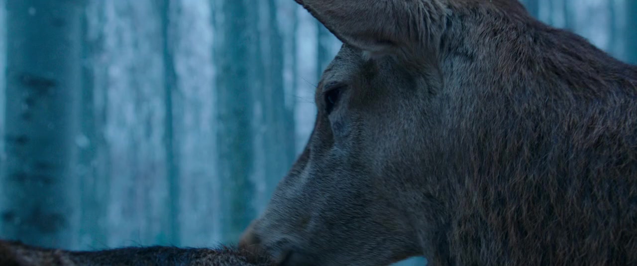 Teströl és lélekröl screenshot 2