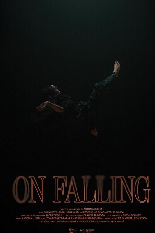 On Falling (2024) poster