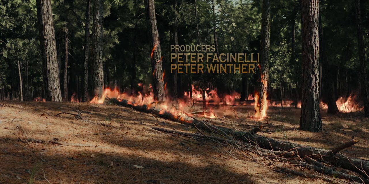 On Fire screenshot 2