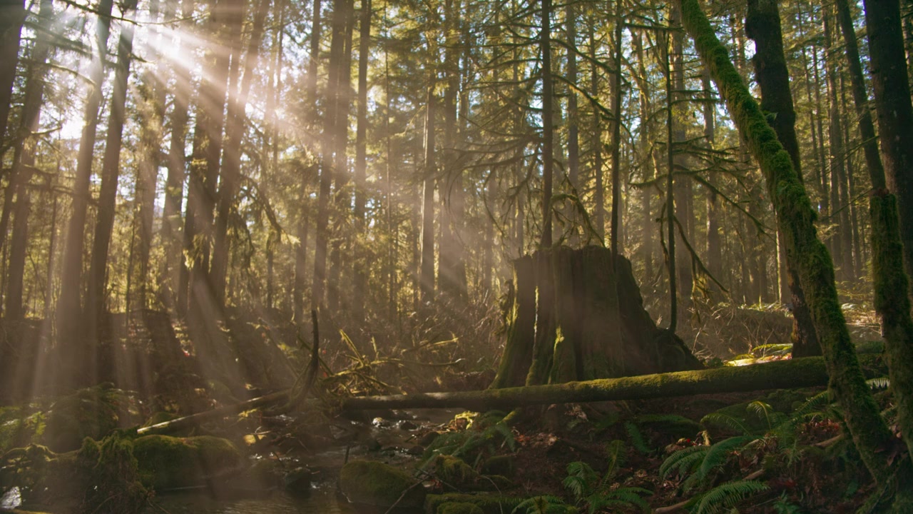 On Location - Ruby Herring Mysteries: Prediction Murder screenshot 1