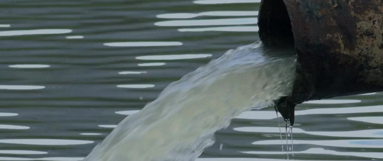 Once Upon a River screenshot 3