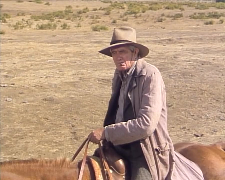 Once Upon a Texas Train screenshot 1
