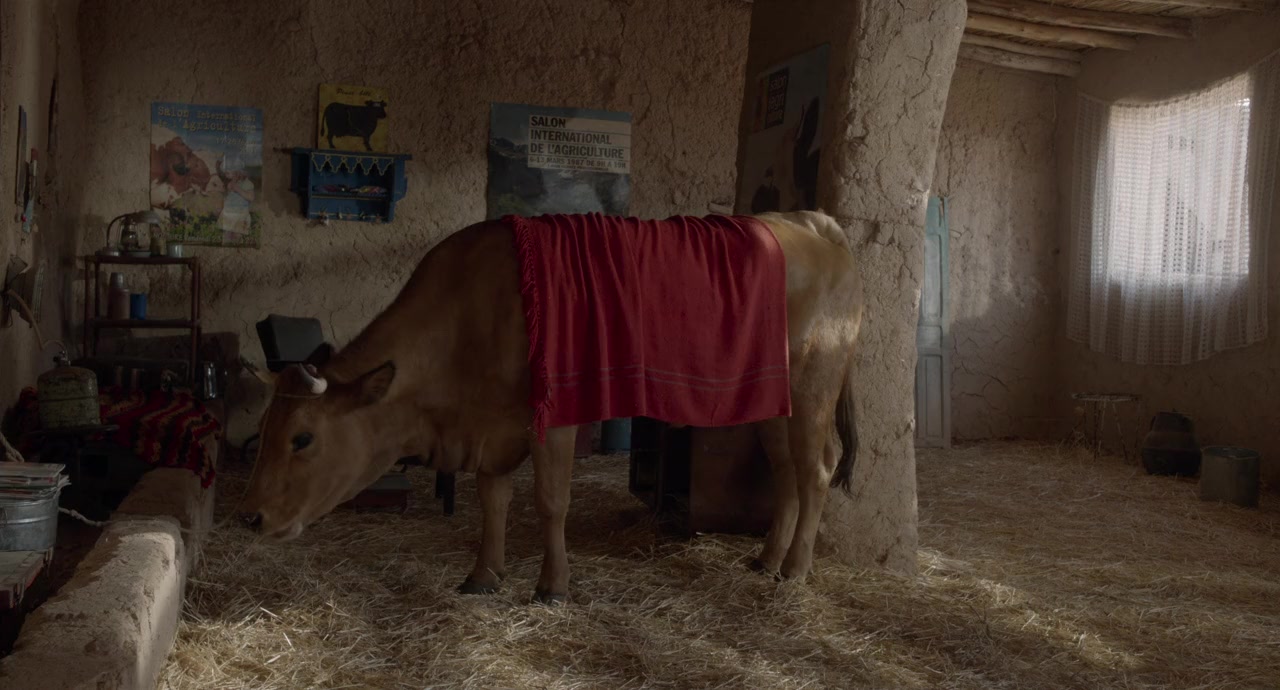 La vache screenshot 2