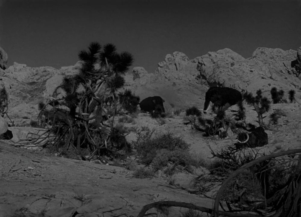 One Million B.C. screenshot 3
