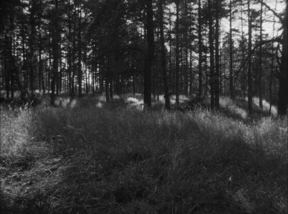 One of the Missing screenshot 3