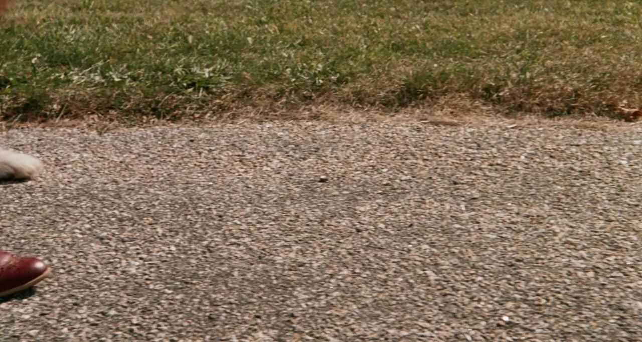 One Crazy Summer screenshot 1