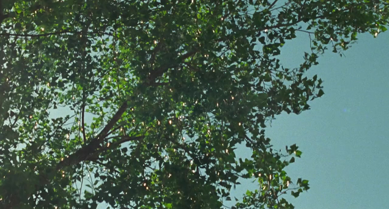 Un beau matin screenshot 1