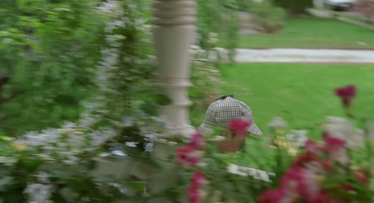 One True Thing screenshot 3