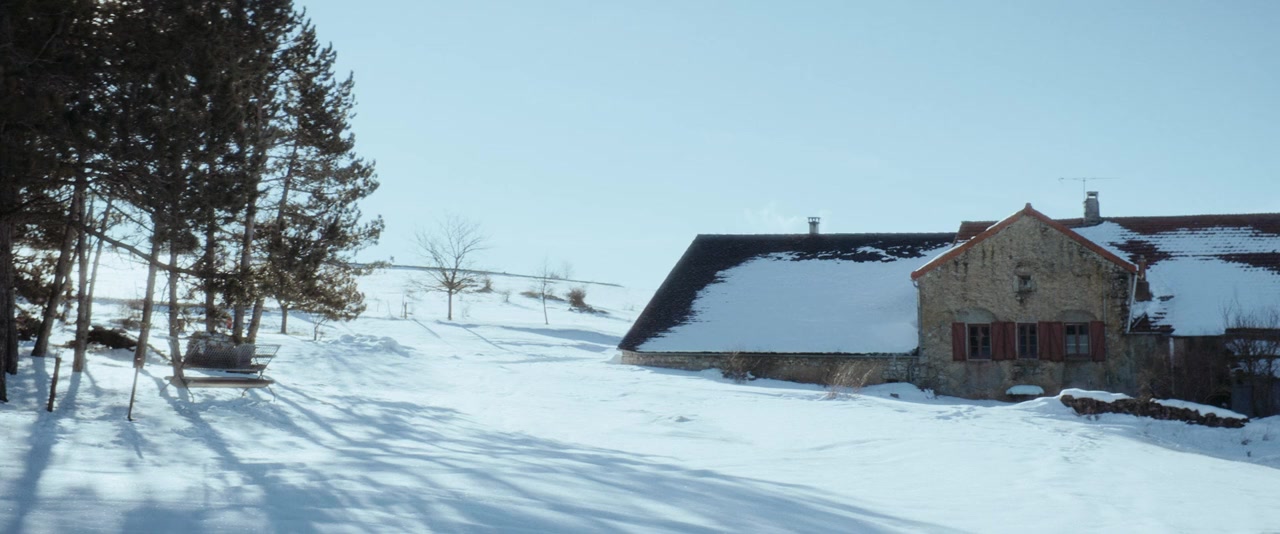 Seules les bêtes screenshot 1