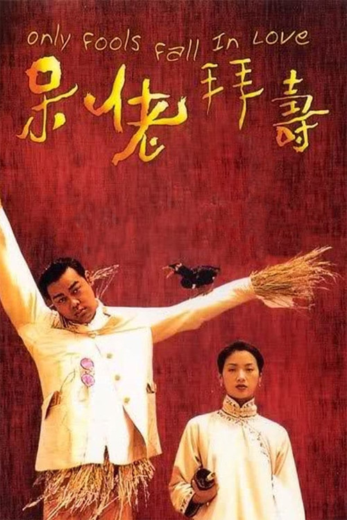 Daai lo baai sau (1995) poster