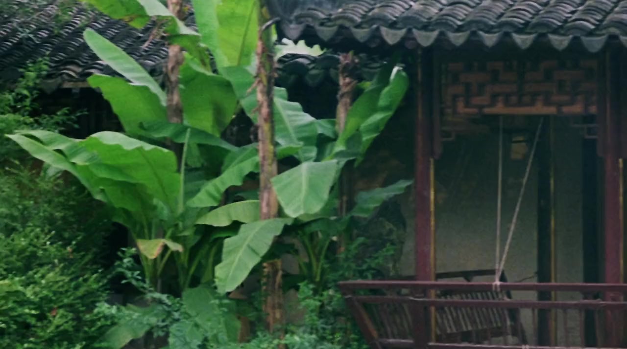 Daai lo baai sau screenshot 2