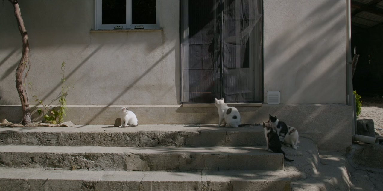 Only on Earth screenshot 3