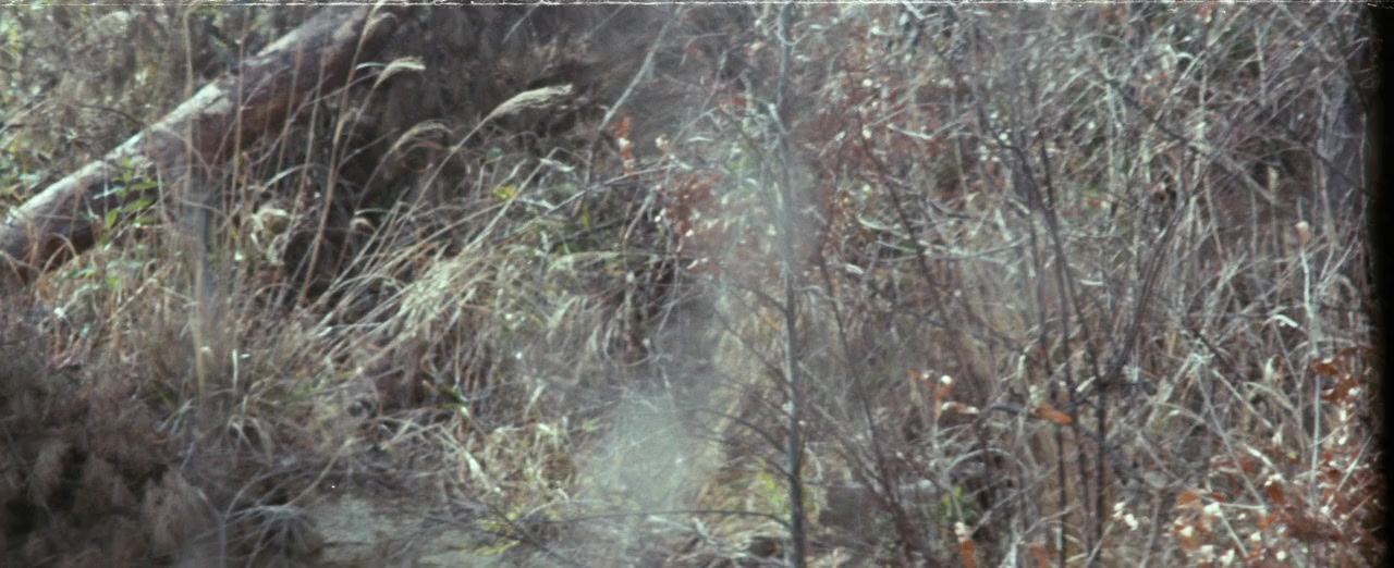 Onna jigoku: Mori wa nureta screenshot 1