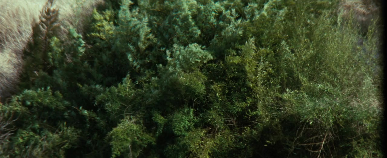 Onna jigoku: Mori wa nureta screenshot 3
