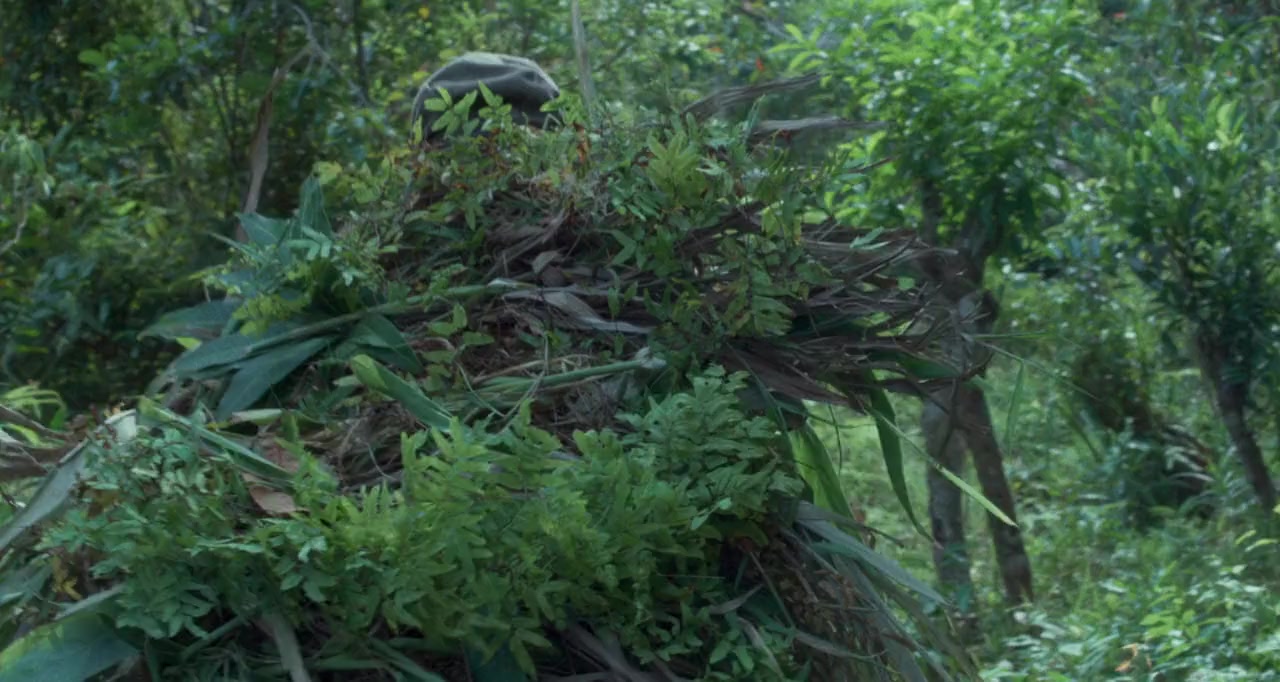 Onoda screenshot 3