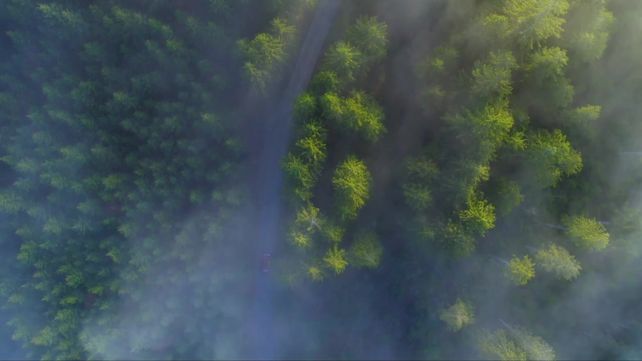 Oblivious screenshot 3