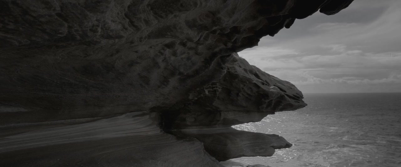 Observance screenshot 3