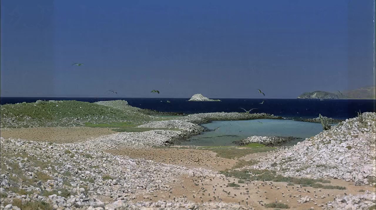 Ocean Oasis screenshot 3