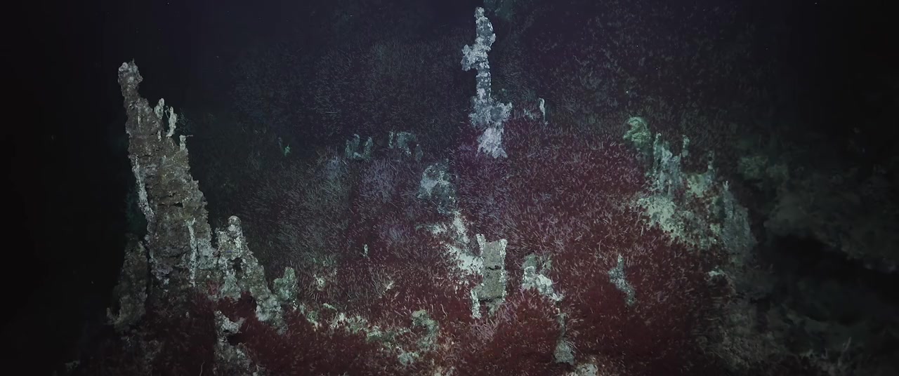 Ocean with David Attenborough screenshot 2