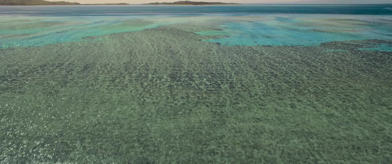 Ocean with David Attenborough screenshot 3