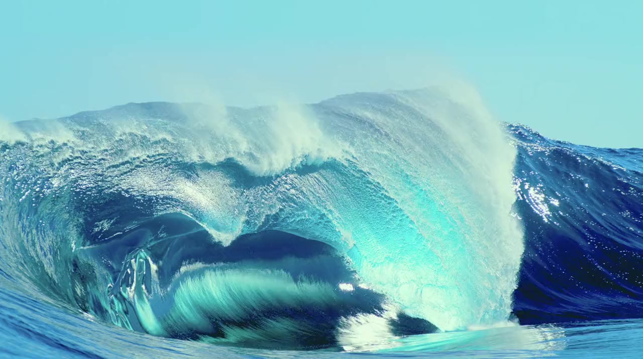 Oceans: Our Blue Planet screenshot 2