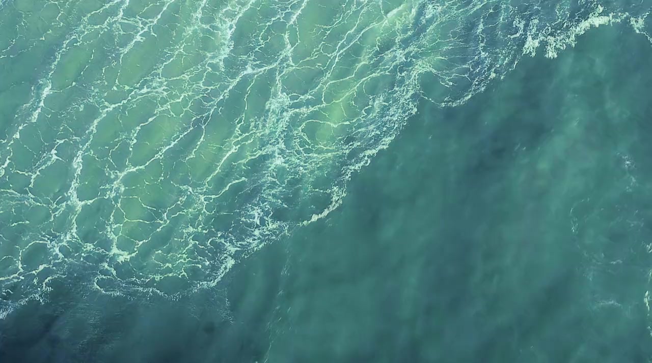 Oceans: Our Blue Planet screenshot 3