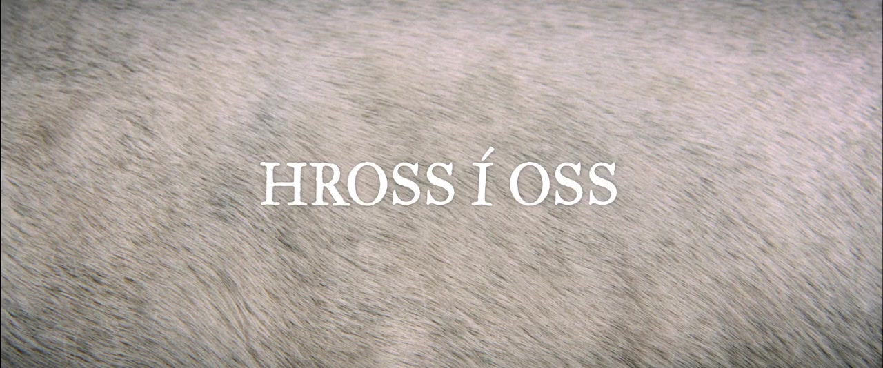 Hross í oss screenshot 2