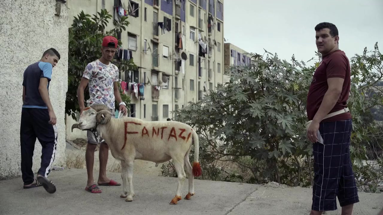 Of Sheep and Men screenshot 2