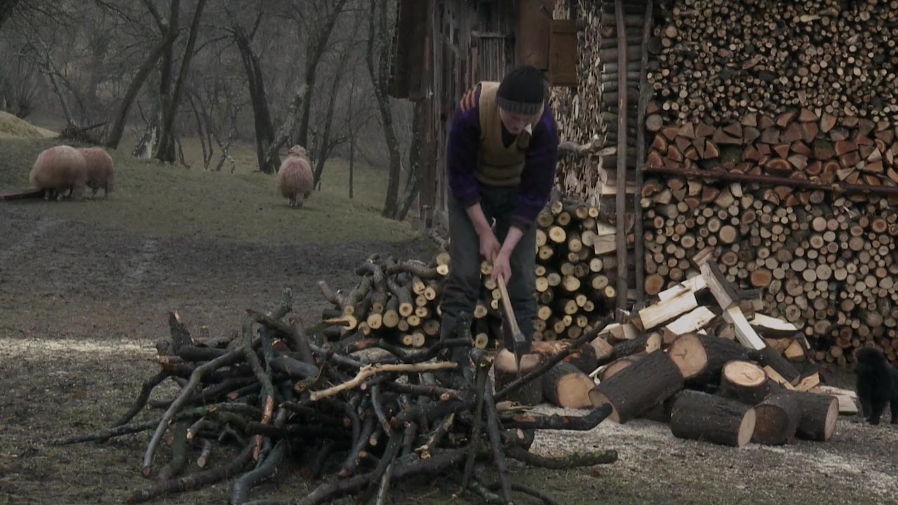 Off the Beaten Track screenshot 1