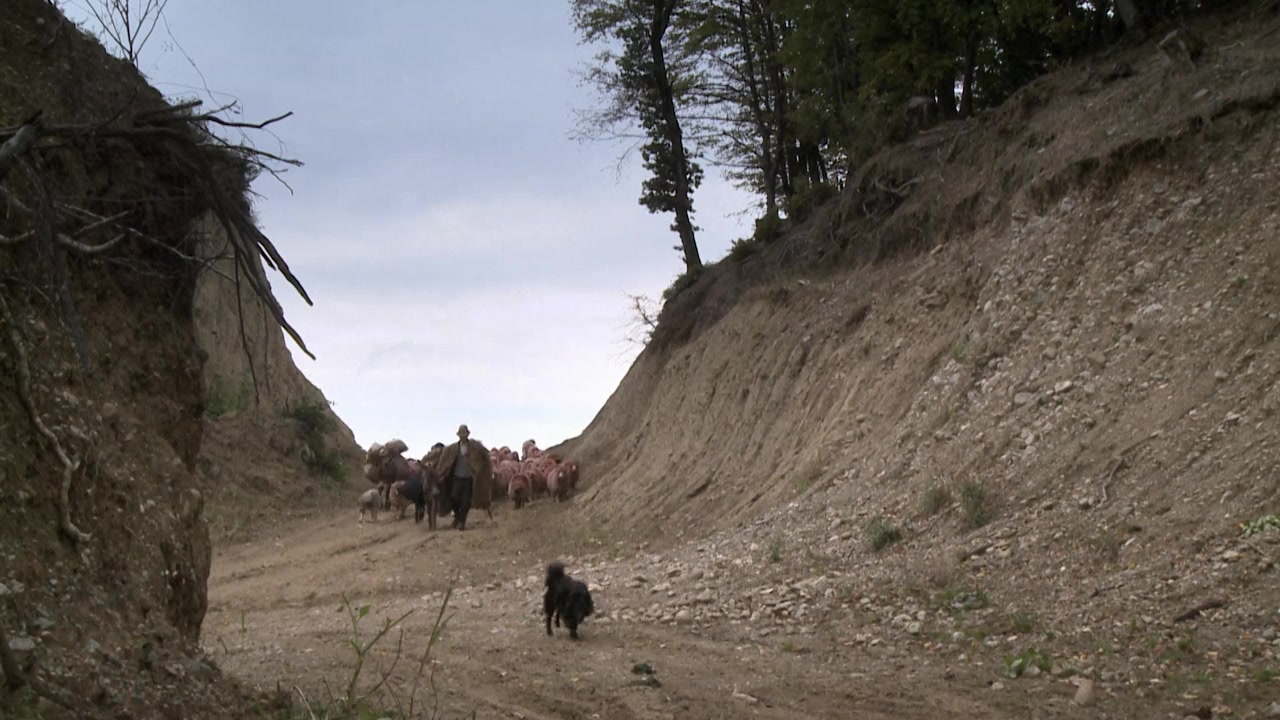 Off the Beaten Track screenshot 2