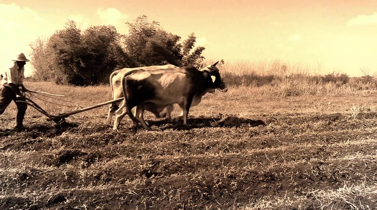Off the Menu screenshot 1