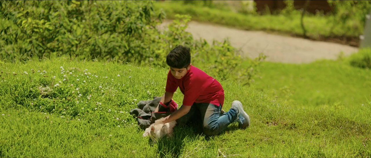 Oh My Dog screenshot 1